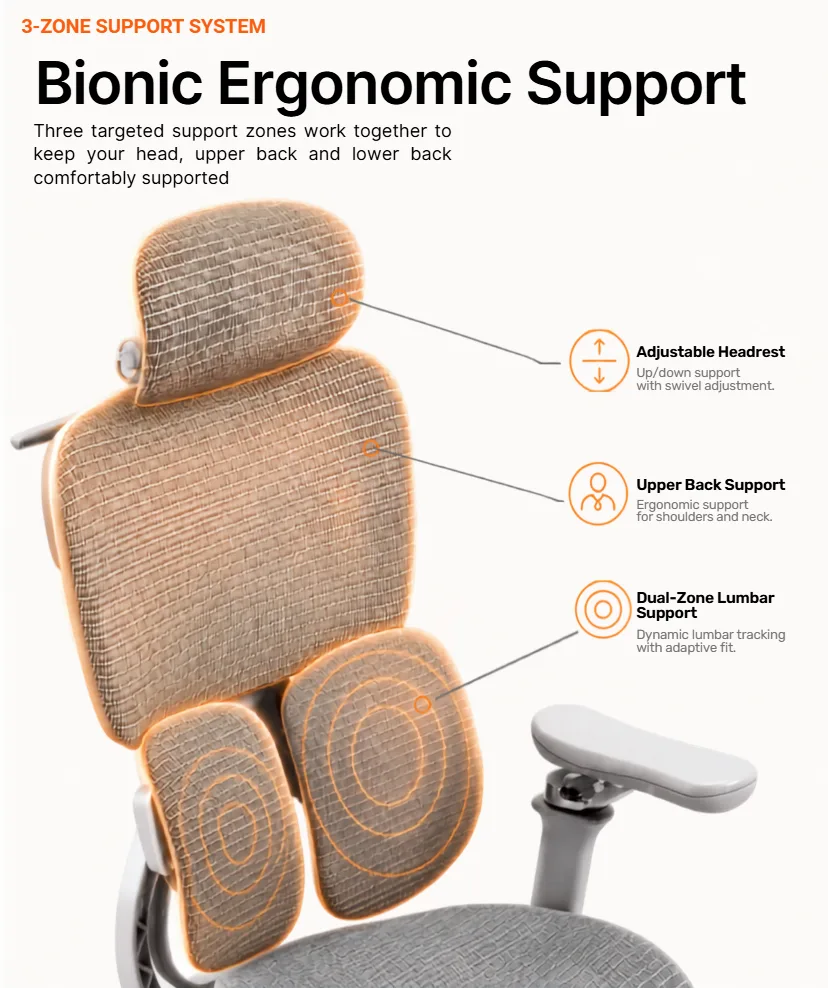 Bionic ergonomic support: three-zone lumbar and back system