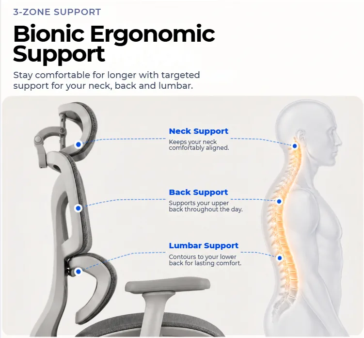 3-zone bionic ergonomic support for neck, back and lumbar