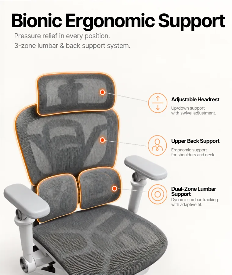 Bionic ergonomic support: pressure relief in every position with a 3-zone lumbar and back support system